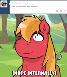 Size: 500x574 | Tagged: safe, artist:redhotkick, derpibooru import, big macintosh, earth pony, pony, fanfic:sweet apple massacre, ask, ask big red macintosh, descriptive noise, fanfic, fanfic art, male, meme, reaction, reaction to own portrayal, solo, stallion, tumblr, x internally