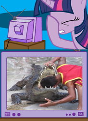 Size: 563x771 | Tagged: safe, crocodile, human, exploitable meme, irl, irl human, meme, natural selection, obligatory pony, photo, tv meme