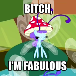 Size: 500x500 | Tagged: safe, breezie, it ain't easy being breezies, bitch i'm fabulous, breezette, fabulous, hat, image macro, meme, mushroom hat, solo, vulgar