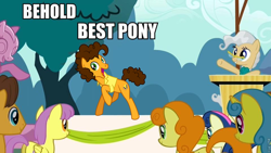 Size: 960x540 | Tagged: safe, derpibooru import, edit, edited screencap, screencap, bon bon, caramel, carrot top, cheese sandwich, golden harvest, lemon hearts, mayor mare, parasol, sweetie drops, pinkie pride, the last roundup, behold, best pony, meme, truth