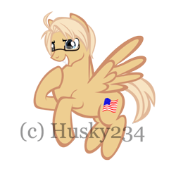 Size: 500x500 | Tagged: safe, artist:husky234, pegasus, pony, cute, flag, glasses, hetalia, nation ponies, ponified, solo, united states