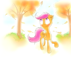 Size: 1644x1377 | Tagged: safe, artist:mugg1991, derpibooru import, scootaloo, pegasus, pony, detailed background, female, filly, solo