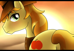 Size: 1000x700 | Tagged: safe, artist:daflummify, derpibooru import, braeburn, plot, solo, sunset