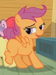 Size: 398x532 | Tagged: safe, derpibooru import, screencap, apple bloom, scootaloo, sweetie belle, cutie mark crusaders, lidded eyes