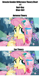 Size: 479x945 | Tagged: safe, edit, edited screencap, screencap, seabreeze, breezie, pegasus, pony, it ain't easy being breezies, chart, gender differences in breezies