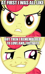 Size: 480x792 | Tagged: safe, derpibooru import, apple bloom, daring don't, image macro, love and tolerance, meme, smugdash