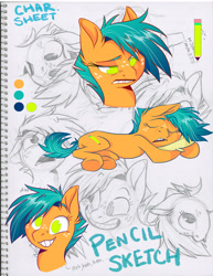 Size: 2550x3300 | Tagged: safe, artist:graystripe64, derpibooru import, oc, oc only, oc:pencil sketch, earth pony, pony, expressions, female, freckles, mare, pillow, sleeping, solo