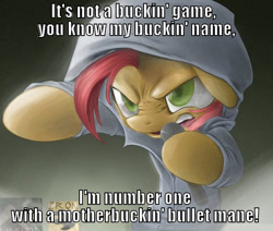 Size: 612x520 | Tagged: safe, derpibooru import, babs seed, babs the rapper, exploitable meme, image macro, lyrics, meme, muthafucka, ponified, solo, xzibit