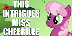 Size: 800x400 | Tagged: safe, edit, edited screencap, screencap, cheerilee, the cutie pox, caption, image macro, intrigued, reaction image, smiling, solo