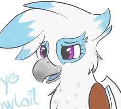 Size: 1011x915 | Tagged: safe, artist:skoop, oc, oc only, oc:skye snowtail, griffon, simple background, solo