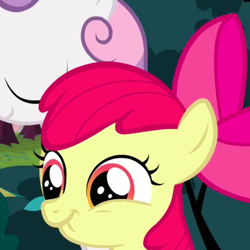 Size: 670x670 | Tagged: safe, screencap, apple bloom, hearts and hooves day (episode), hearts and hooves day, scrunchy face