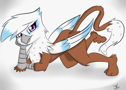 Size: 3410x2448 | Tagged: safe, artist:tallyburd, oc, oc only, oc:skye snowtail, anthro, griffon, anthro oc, solo