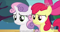 Size: 1151x610 | Tagged: safe, derpibooru import, screencap, apple bloom, sweetie belle, flight to the finish, meme, youtube caption