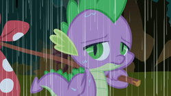 Size: 1054x592 | Tagged: safe, derpibooru import, screencap, spike, dragon, owl's well that ends well, rain, solo