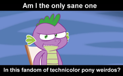 Size: 700x438 | Tagged: safe, derpibooru import, spike, dragon, .mov, bronybait, image macro, pony.mov, sane, sanity, solo, talking to viewer, text, that's spike