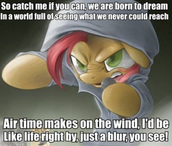 Size: 612x520 | Tagged: safe, derpibooru import, babs seed, earth pony, pony, babs the rapper, catch me if you can, clothes, crossover, exploitable meme, female, filly, hoodie, image macro, lyrics, meme, nose wrinkle, solo, sonic riders, sonic the hedgehog (series)