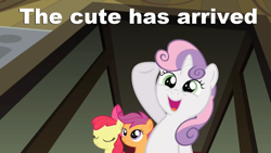 Size: 1024x576 | Tagged: safe, derpibooru import, apple bloom, scootaloo, sweetie belle, caption, cute, diasweetes, image macro