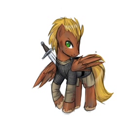 Size: 760x769 | Tagged: artist needed, safe, derpibooru import, oc, oc only, oc:chinook, pegasus, pony, armor, blood, chainmail, hauberk, male, simple background, solo, stallion, sword, weapon, white background