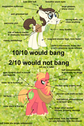 Size: 1920x2850 | Tagged: safe, derpibooru import, big macintosh, gizmo, earth pony, pony, 10/10, acne, analysis, bowtie, bucktooth, comparison, glasses, green background, male, nerd, simple background, stallion, text, vulgar, would not hug