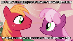 Size: 800x450 | Tagged: safe, derpibooru import, edit, edited screencap, screencap, big macintosh, cheerilee, earth pony, pony, hearts and hooves day (episode), duo, hearts and hooves day, image macro, male, stallion