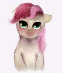 Size: 770x903 | Tagged: safe, artist:sapplejack, roseluck, earth pony, pony, bust, female, mare, solo, two toned mane