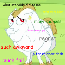 Size: 386x386 | Tagged: safe, derpibooru import, bulk biceps, rainbow falls, doge, solo, story in the comments