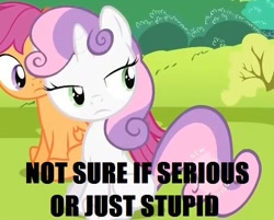 Size: 500x401 | Tagged: safe, derpibooru import, edit, edited screencap, screencap, scootaloo, sweetie belle, dialogue, image macro