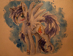 Size: 4132x3151 | Tagged: safe, artist:smartmeggie, derpibooru import, oc, oc only, oc:ddye, solo, traditional art