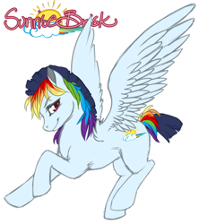 Size: 842x948 | Tagged: safe, artist:toastiepony, derpibooru import, oc, oc only, oc:sunrise brisk, flying, offspring, parent:rainbow dash, parent:soarin', parents:soarindash, solo