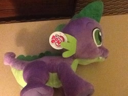 Size: 825x619 | Tagged: safe, spike, all fours, funrise, irl, my little pony, my little pony logo, official, photo, plushie, quadrupedal spike, spike plushie