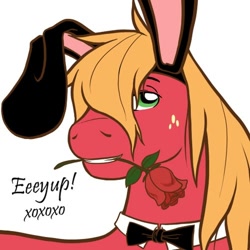 Size: 500x500 | Tagged: safe, artist:redhotkick, derpibooru import, big macintosh, earth pony, pony, alternate hairstyle, bowtie, bunny ears, male, mouth hold, rose, solo, stallion