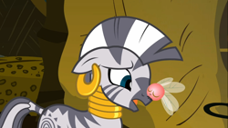 Size: 1366x768 | Tagged: safe, screencap, zecora, parasprite, zebra, swarm of the century, cuddling, snuggling