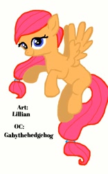 Size: 620x996 | Tagged: safe, artist:php76, derpibooru import, oc, oc only, pegasus, pony, gabythehedgehog, solo