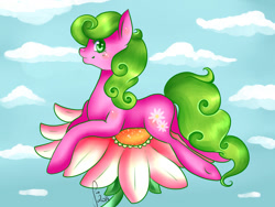 Size: 1024x768 | Tagged: safe, artist:saoiirse, daisy, flower wishes, flower, solo