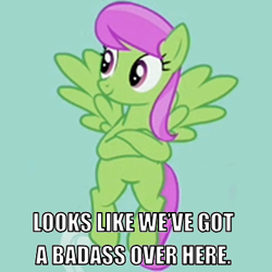 Size: 400x400 | Tagged: safe, derpibooru import, edit, edited screencap, screencap, merry may, it's about time, caption, cropped, crossed hooves, image macro, meme, not so merry may, reaction image, sarcasm, smirk, solo