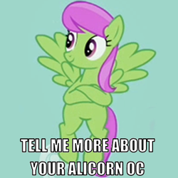 Size: 400x400 | Tagged: safe, derpibooru import, edit, edited screencap, screencap, merry may, it's about time, caption, cropped, crossed hooves, image macro, meme, not so merry may, reaction image, sarcasm, smirk, solo