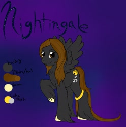 Size: 2376x2393 | Tagged: safe, artist:nekodorei, derpibooru import, oc, oc only, oc:nightingale, bell, black, brown, cute, music notes, nekodorei, reference sheet, solo