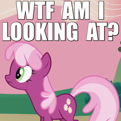 Size: 640x640 | Tagged: safe, edit, edited screencap, screencap, cheerilee, hearts and hooves day (episode), caption, cropped, hearts and hooves day, image macro, reaction image, solo, wtf