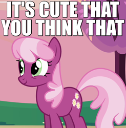 Size: 640x650 | Tagged: safe, edit, edited screencap, screencap, cheerilee, hearts and hooves day (episode), caption, cropped, hearts and hooves day, image macro, reaction image, solo