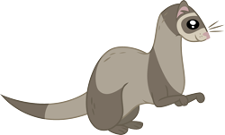 Size: 1652x1000 | Tagged: safe, artist:violetferret, derpibooru import, ferret, animal, simple background, solo, transparent background, vector