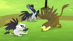 Size: 807x452 | Tagged: safe, derpibooru import, screencap, giselle, irma, natalya, griffon, rainbow falls, background griffon, gaston (griffon), griffon team, stretching, trio