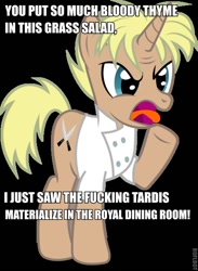 Size: 440x600 | Tagged: safe, caption, doctor who, gordon ramsay, image macro, ponified, solo, vulgar