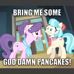 Size: 600x600 | Tagged: safe, derpibooru import, coco pommel, suri polomare, rarity takes manehattan, season 4, image macro, lewis black