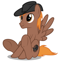 Size: 881x906 | Tagged: safe, artist:mrlolcats17, oc, oc only, oc:calamity, pegasus, pony, fallout equestria, brand, cute, fanfic, fanfic art, hat, male, simple background, solo, stallion, transparent background, wings