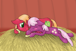 Size: 2341x1567 | Tagged: safe, artist:amandaam, big macintosh, cheerilee, earth pony, pony, blushing, cheerimac, eyes closed, lying, male, shipping, smiling, stallion, straight