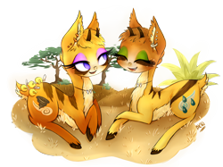 Size: 2592x1936 | Tagged: safe, artist:grandifloru, oc, oc only, oc:dust runner, oc:mist chaser, gazelle pony