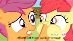 Size: 1920x1080 | Tagged: safe, screencap, apple bloom, scootaloo, somepony to watch over me, hub logo, image macro, meme, no time for a song