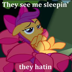 Size: 1024x1024 | Tagged: safe, edit, edited screencap, screencap, scootaloo, somepony to watch over me, image macro, meme, solo, swagaloo