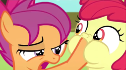 Size: 640x355 | Tagged: safe, screencap, apple bloom, scootaloo, somepony to watch over me, hoof in mouth, puffy cheeks