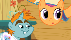 Size: 1366x768 | Tagged: safe, screencap, scootaloo, snips, the mysterious mare do well, duo, long neck, long pony, rainbow wig